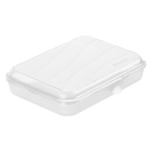 Rotho Fun Lunchbox 0.75L Transparant