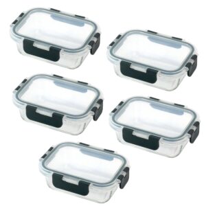 Ceruzo Meal Prep Bakjes – 5 Stuks Vershoudbakjes – Glas